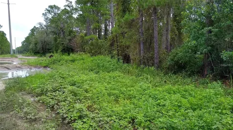 12TH Avenue Deland FL 32724