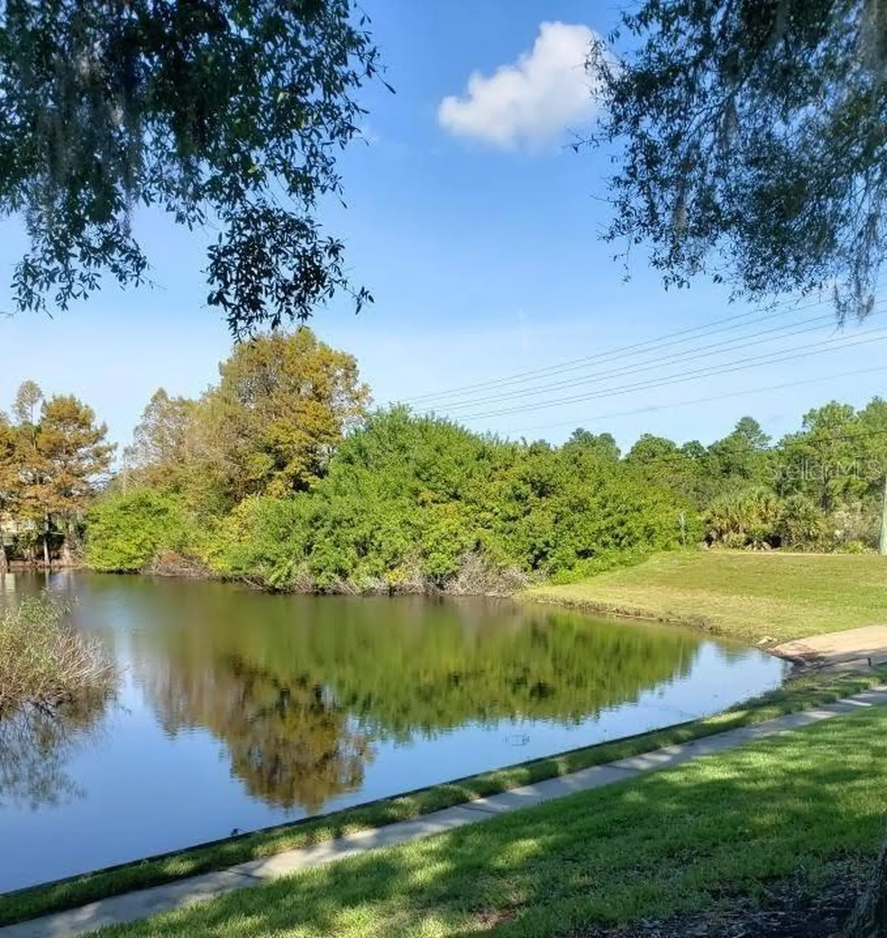 7737 Eureka Drive Hudson FL 34667
