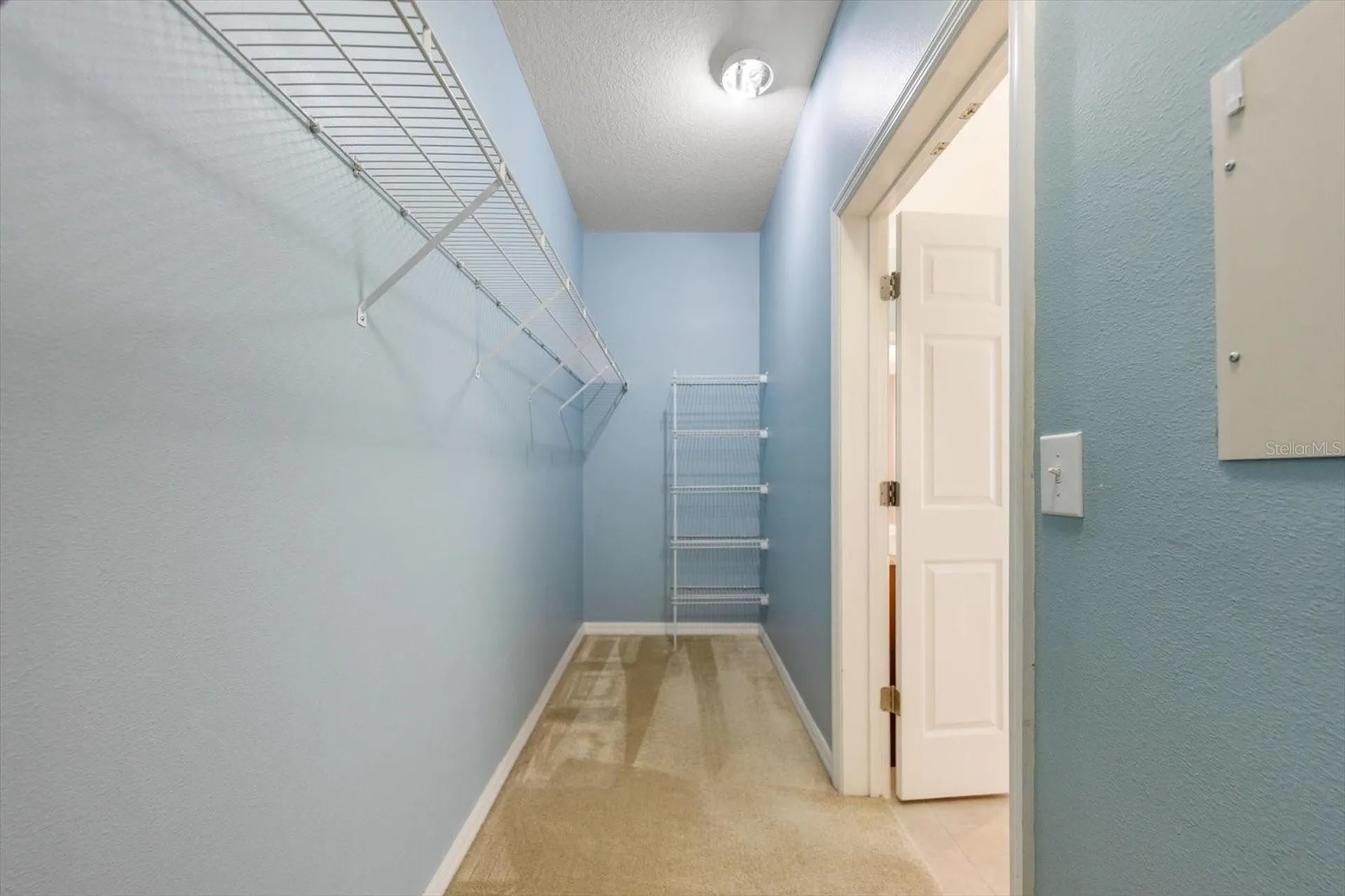 2302 Barracuda Court Holiday FL 34691