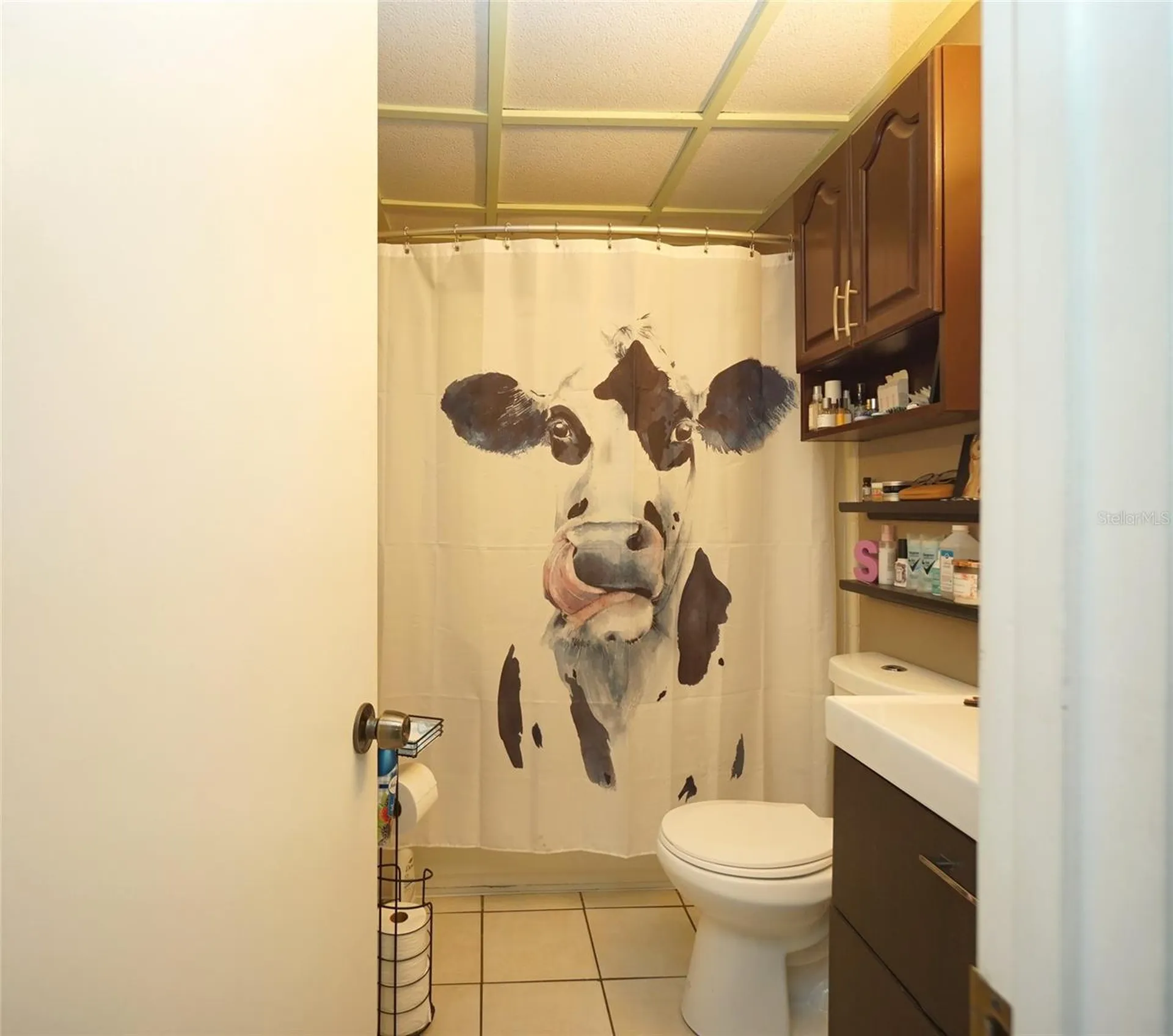 3716 N 52nd Street Tampa FL 33619