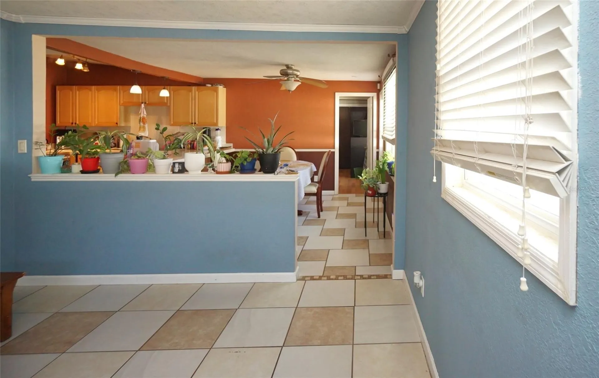 3716 N 52nd Street Tampa FL 33619