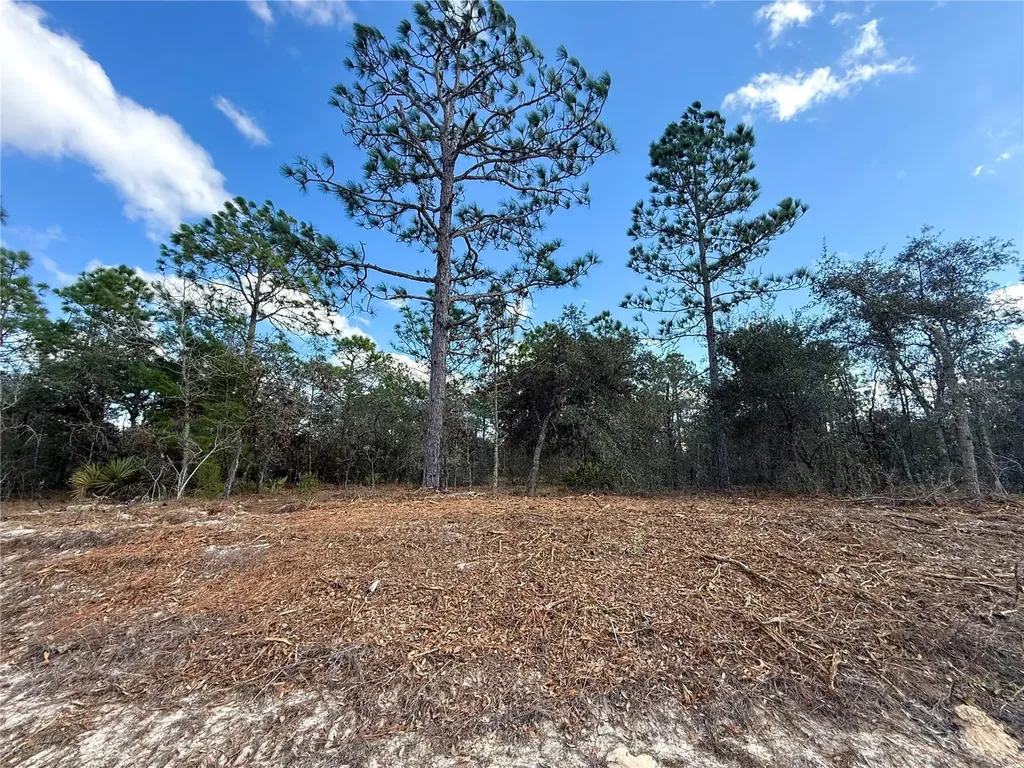 8951 N Citrus Springs Boulevard Citrus Springs FL 34433