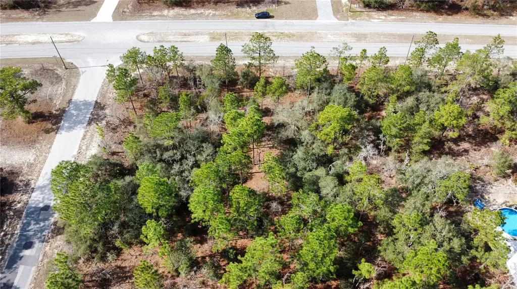 8951 N Citrus Springs Boulevard Citrus Springs FL 34433
