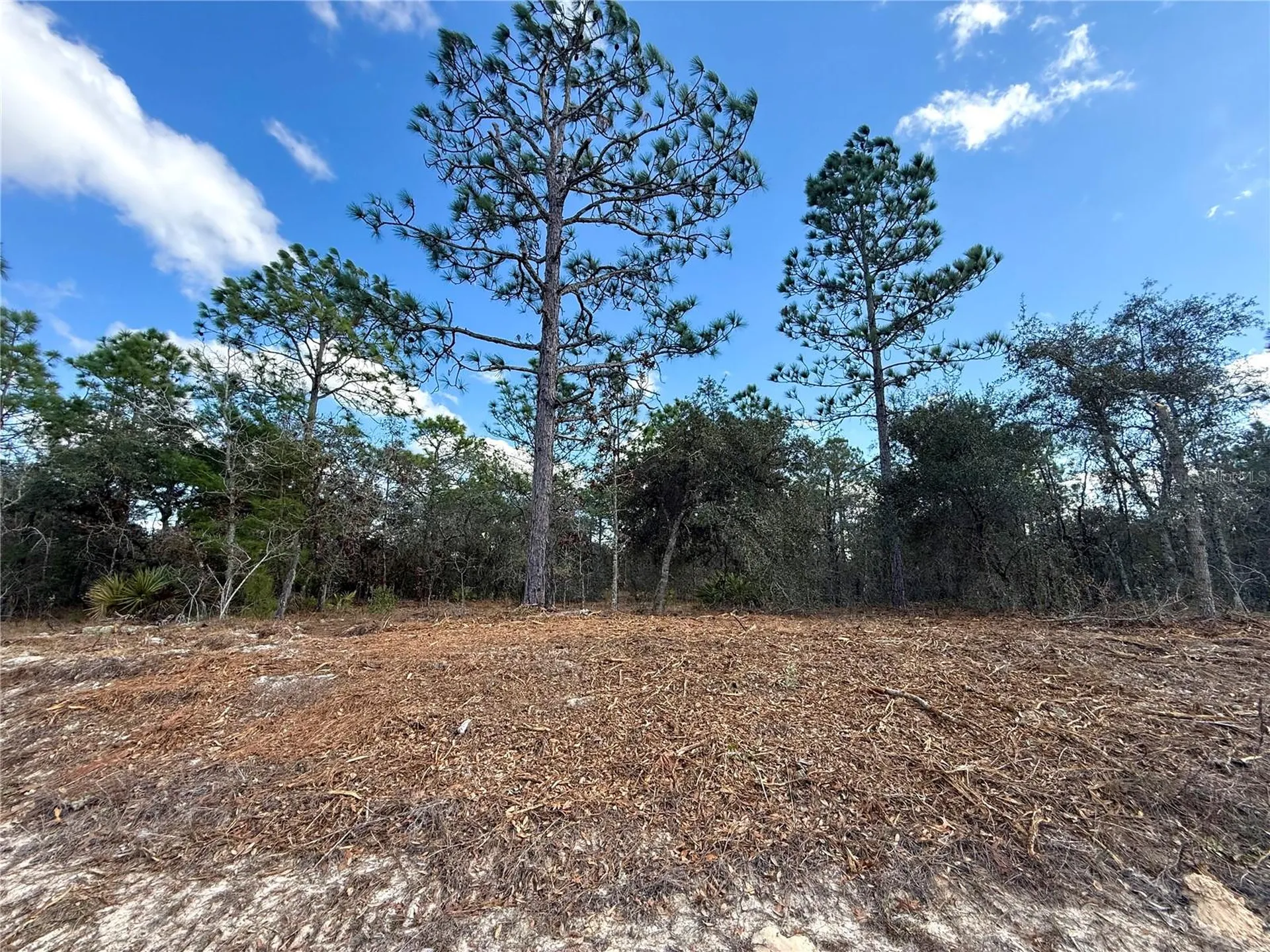 8951 N Citrus Springs Boulevard Citrus Springs FL 34433
