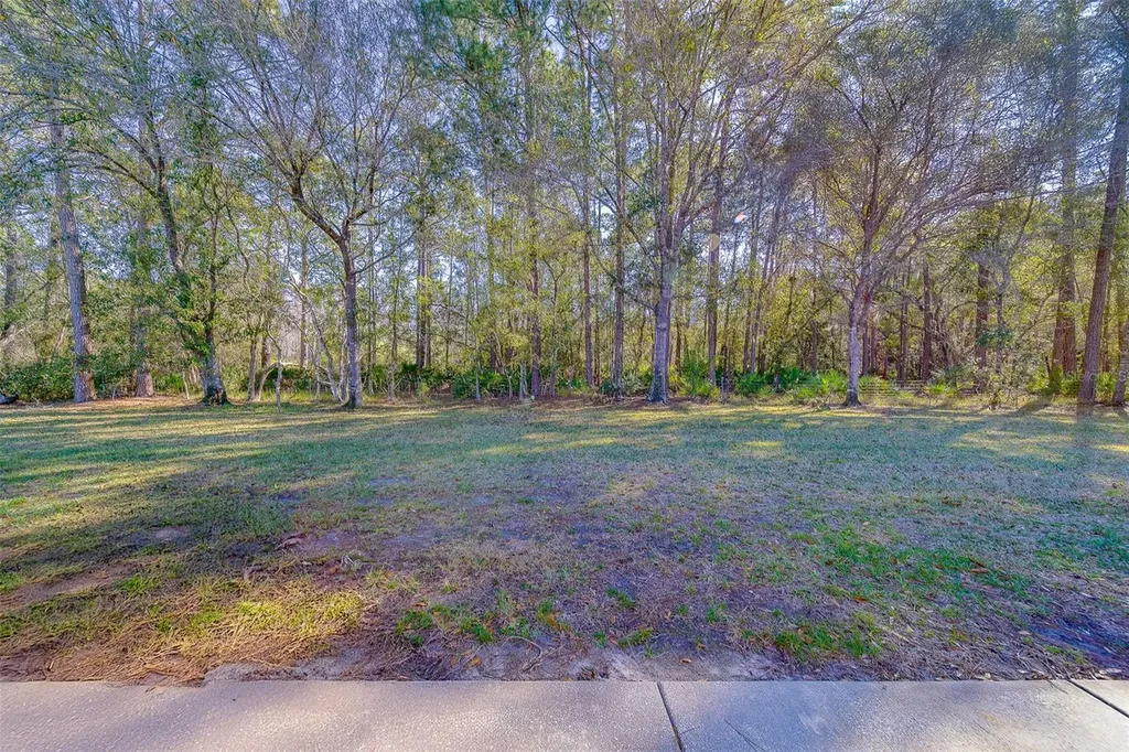 4405 Connery Court Palm Harbor FL 34685