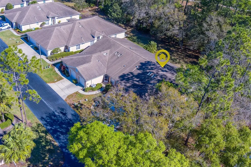4405 Connery Court Palm Harbor FL 34685