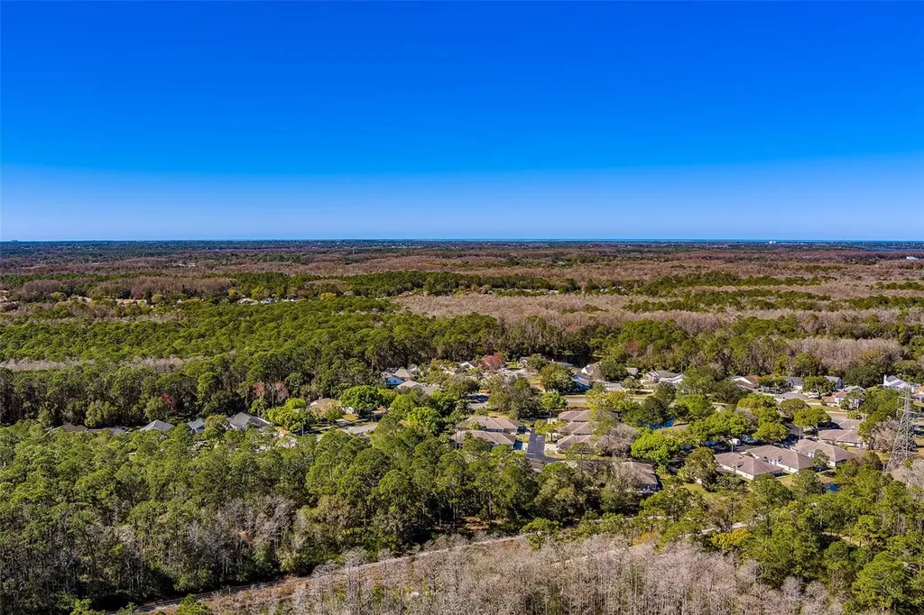 4405 Connery Court Palm Harbor FL 34685