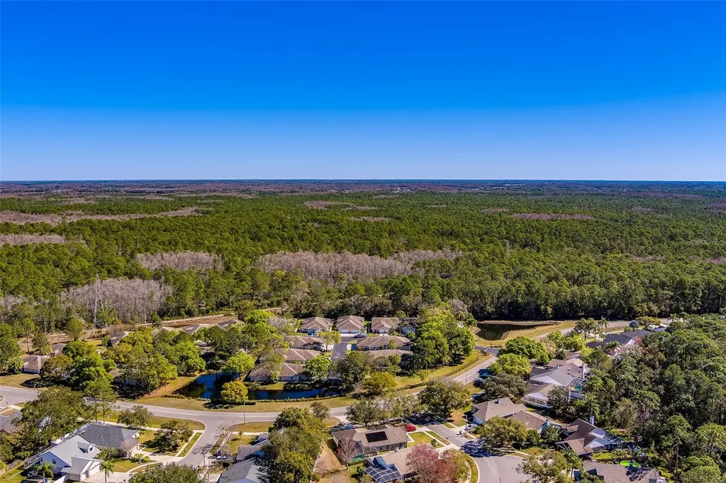 4405 Connery Court Palm Harbor FL 34685