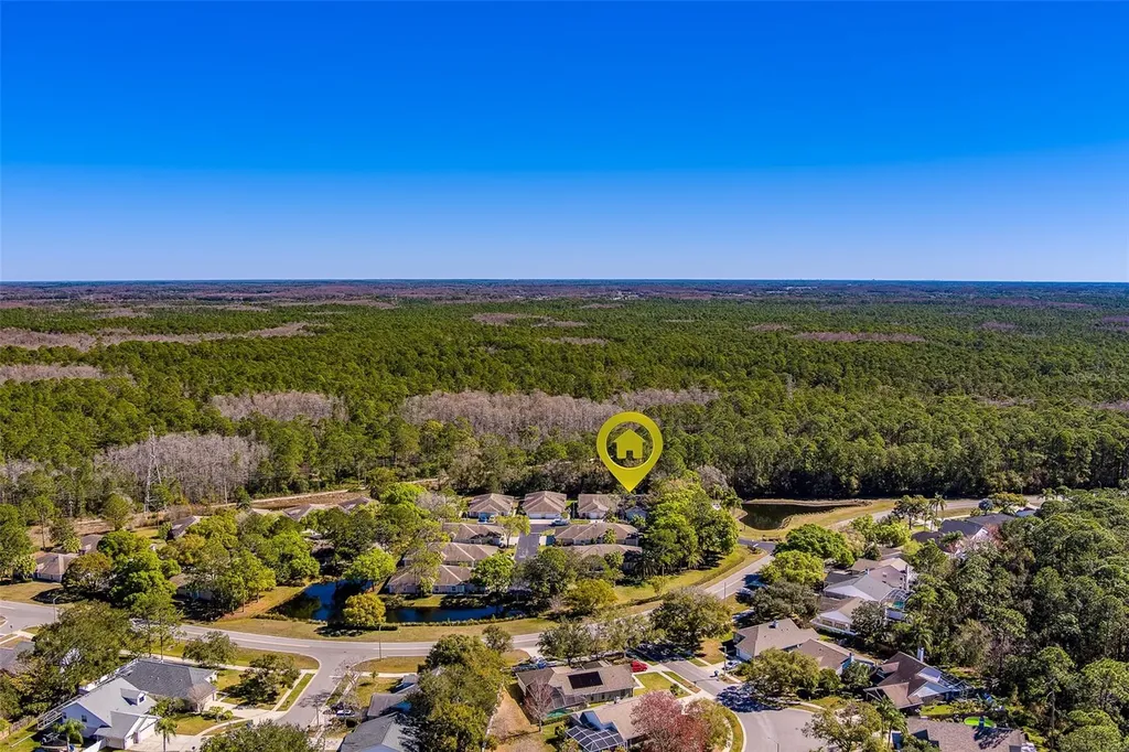 4405 Connery Court Palm Harbor FL 34685