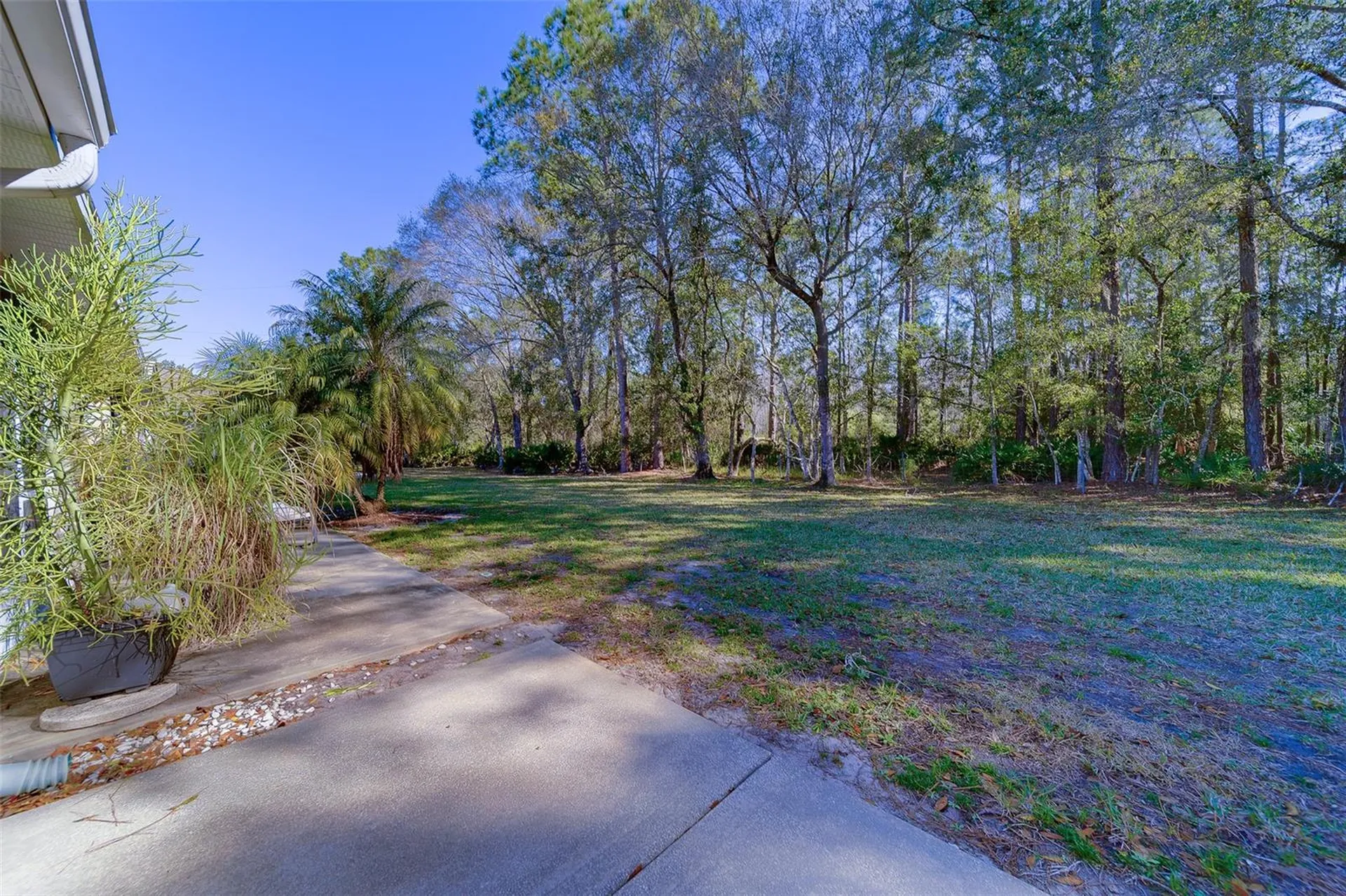 4405 Connery Court Palm Harbor FL 34685