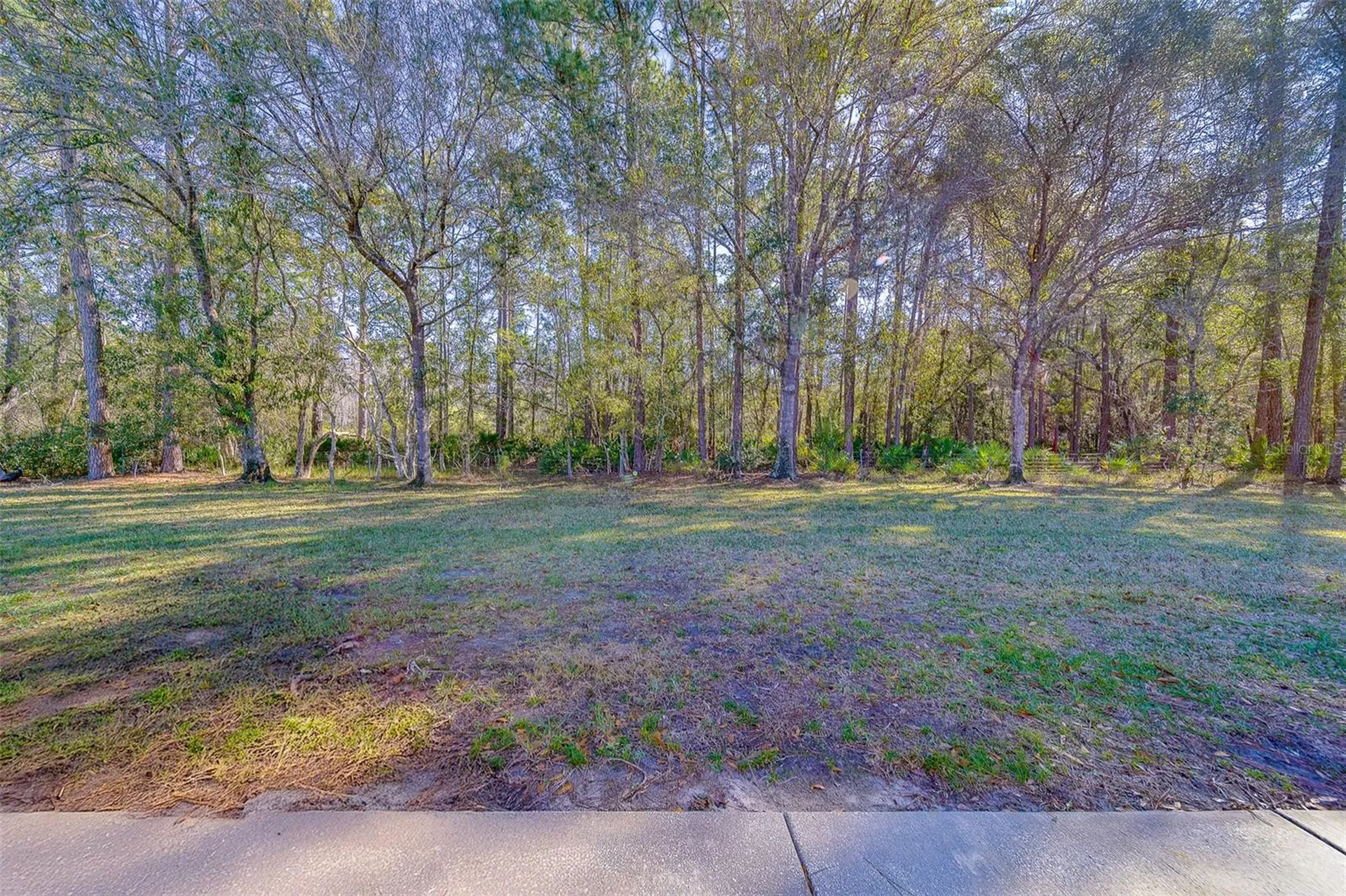 4405 Connery Court Palm Harbor FL 34685