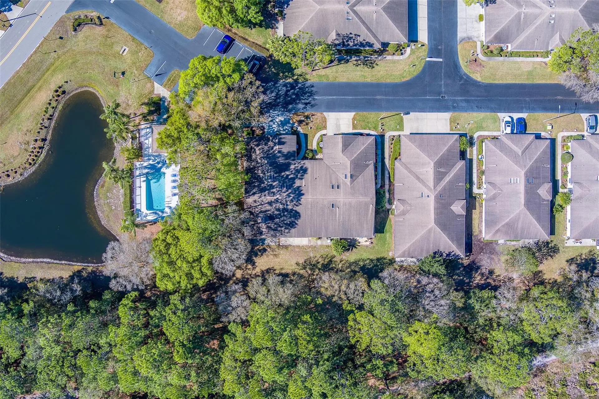 4405 Connery Court Palm Harbor FL 34685