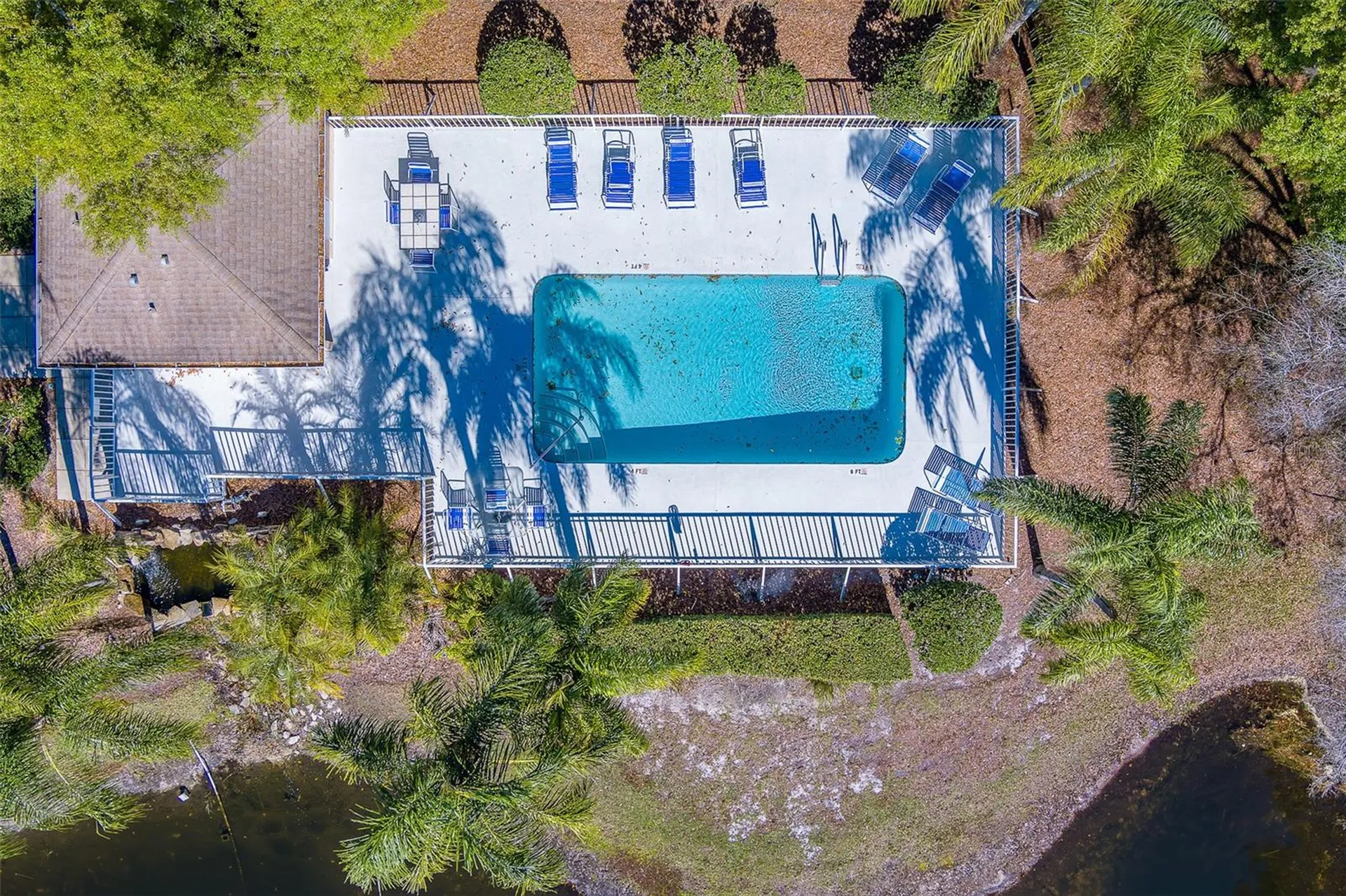 4405 Connery Court Palm Harbor FL 34685