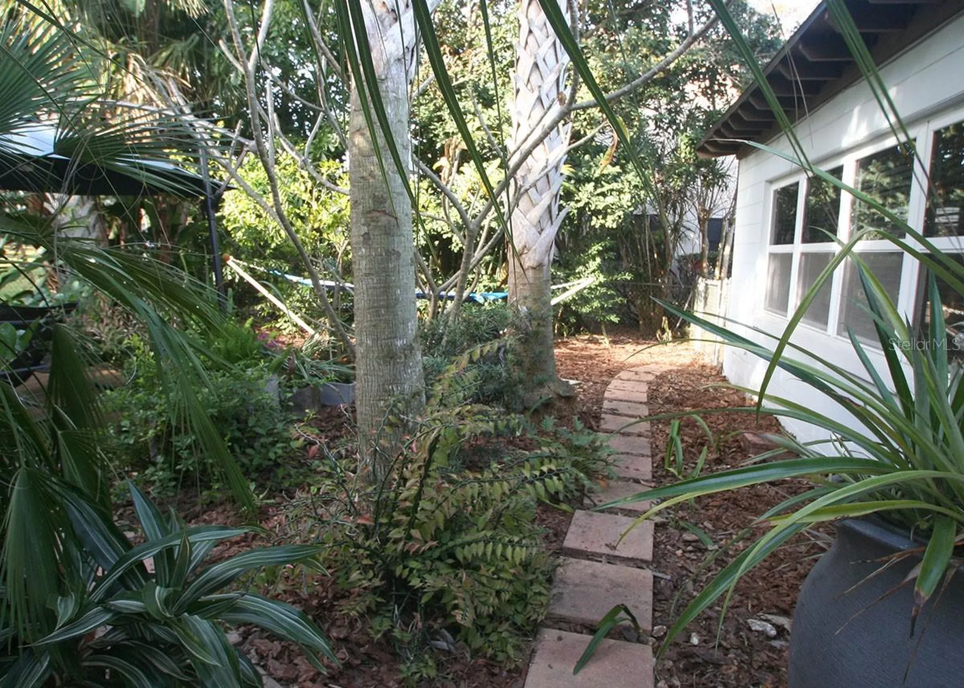 4038 Ibis Drive Orlando FL 32803