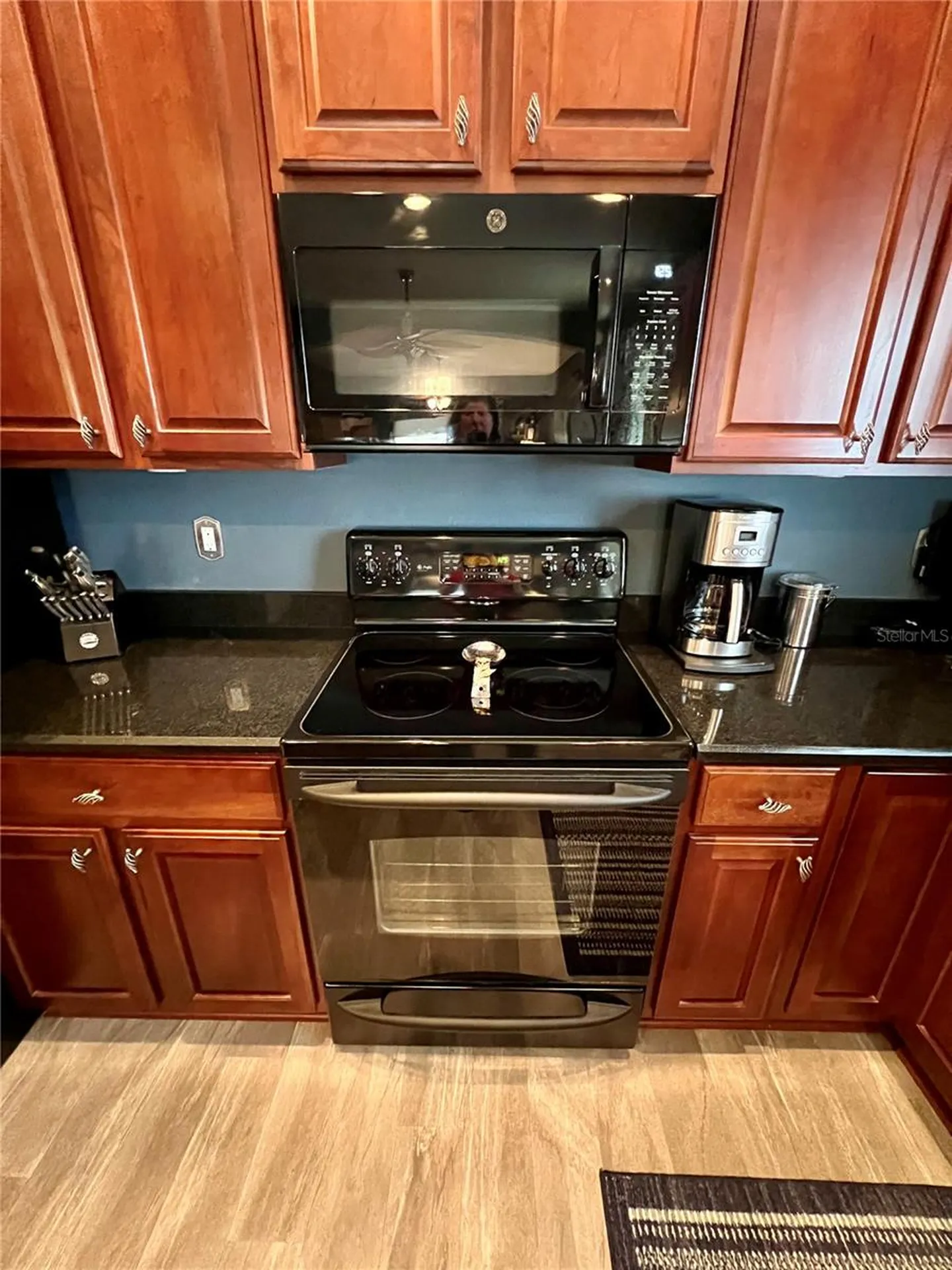 13548 Old Florida Circle Hudson FL 34669