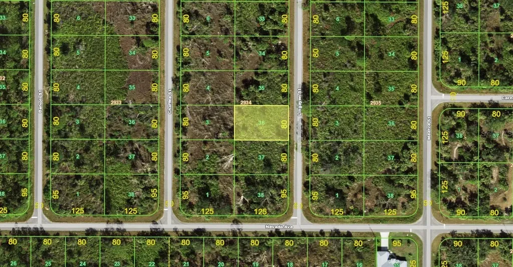 2167 Lingayen Street Port Charlotte FL 33953