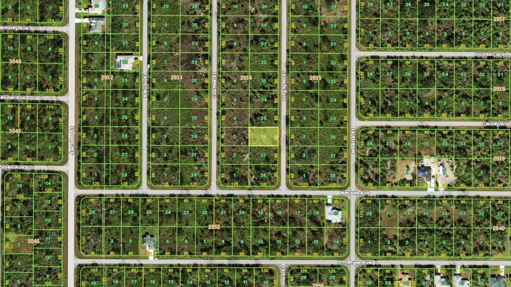 2167 Lingayen Street Port Charlotte FL 33953