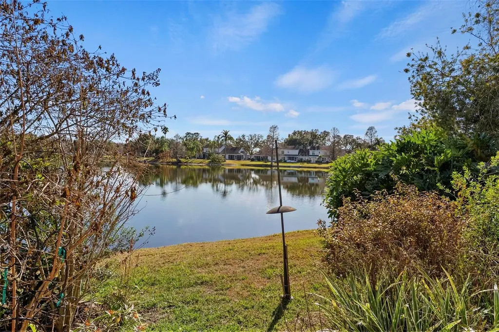 1743 Lake Heron Drive Lutz FL 33549