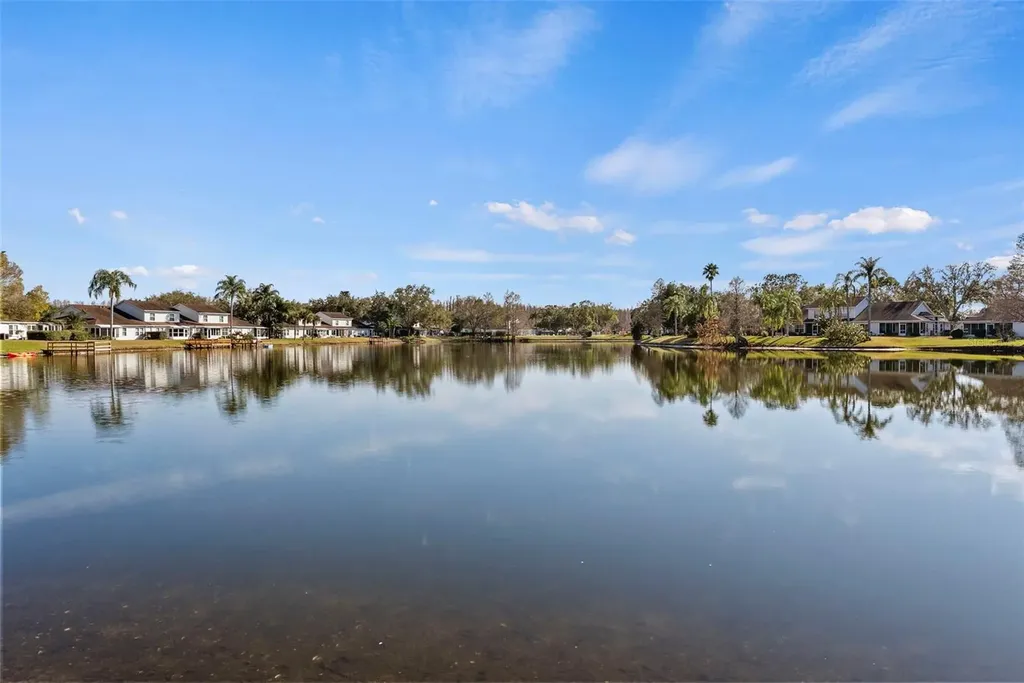 1743 Lake Heron Drive Lutz FL 33549