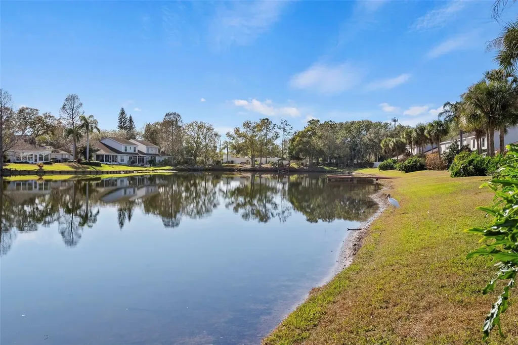 1743 Lake Heron Drive Lutz FL 33549