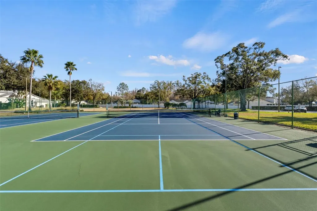 1743 Lake Heron Drive Lutz FL 33549
