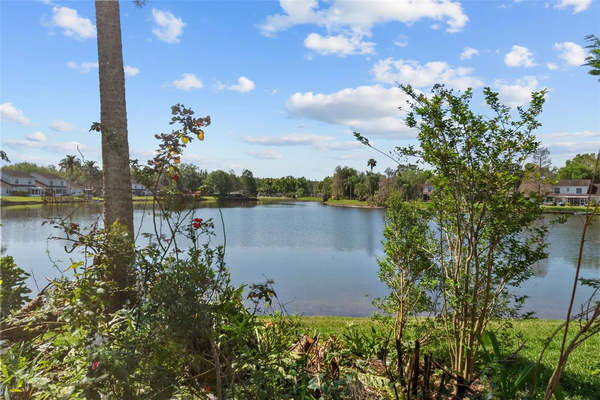 1743 Lake Heron Drive Lutz FL 33549