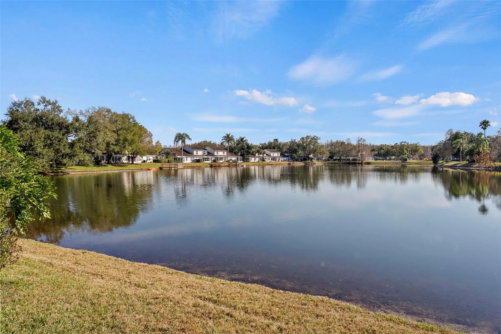 1743 Lake Heron Drive Lutz FL 33549