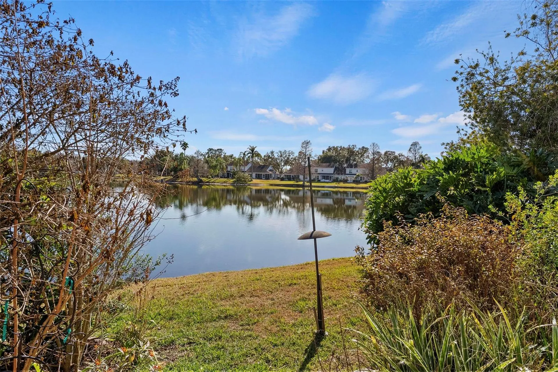 1743 Lake Heron Drive Lutz FL 33549