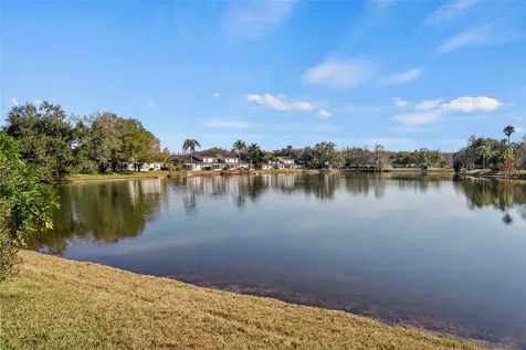 1743 Lake Heron Drive Lutz FL 33549