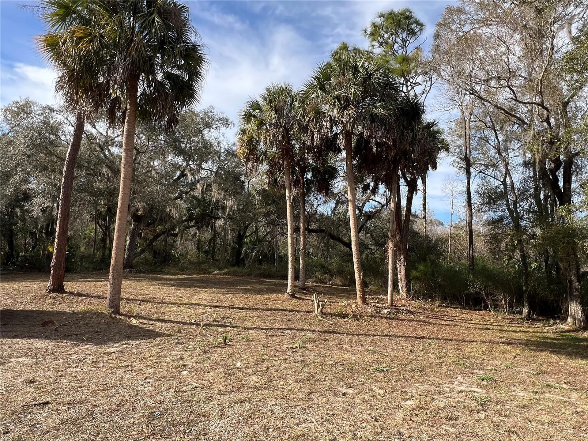 4850 N Ladybug Drive Crystal River FL 34428
