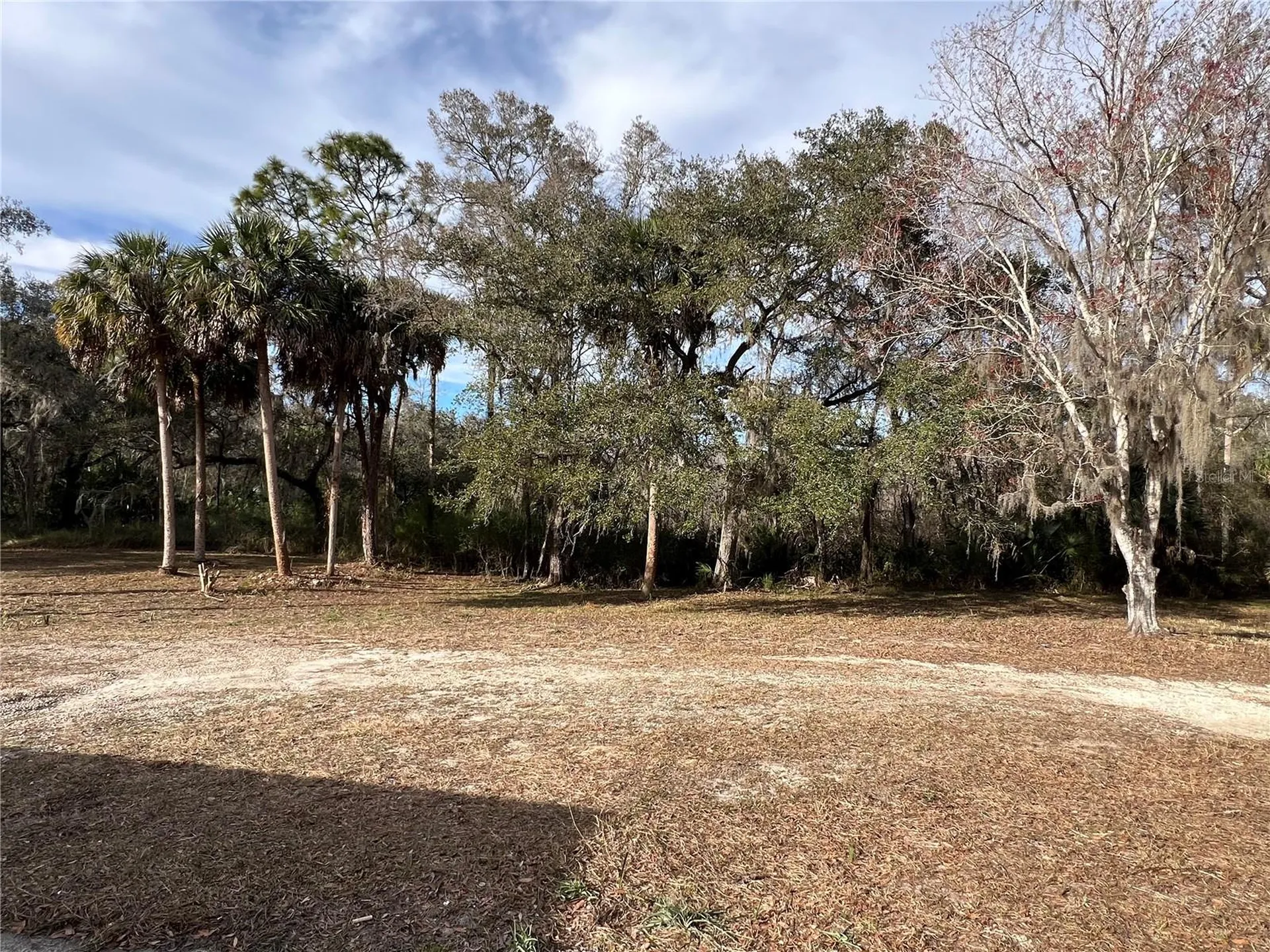 4850 N Ladybug Drive Crystal River FL 34428