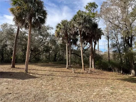 4850 N Ladybug Drive Crystal River FL 34428