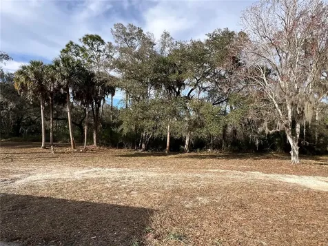 4850 N Ladybug Drive Crystal River FL 34428