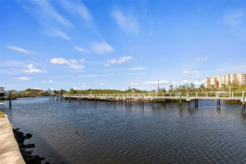 5815 Elisabethan Lane New Port Richey FL 34652