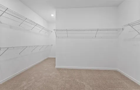 5164 Everlong Drive Apollo Beach FL 33572