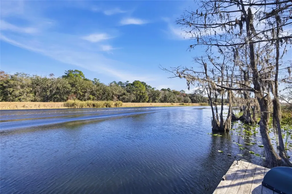 351 Sequoia Drive Ocklawaha FL 32179