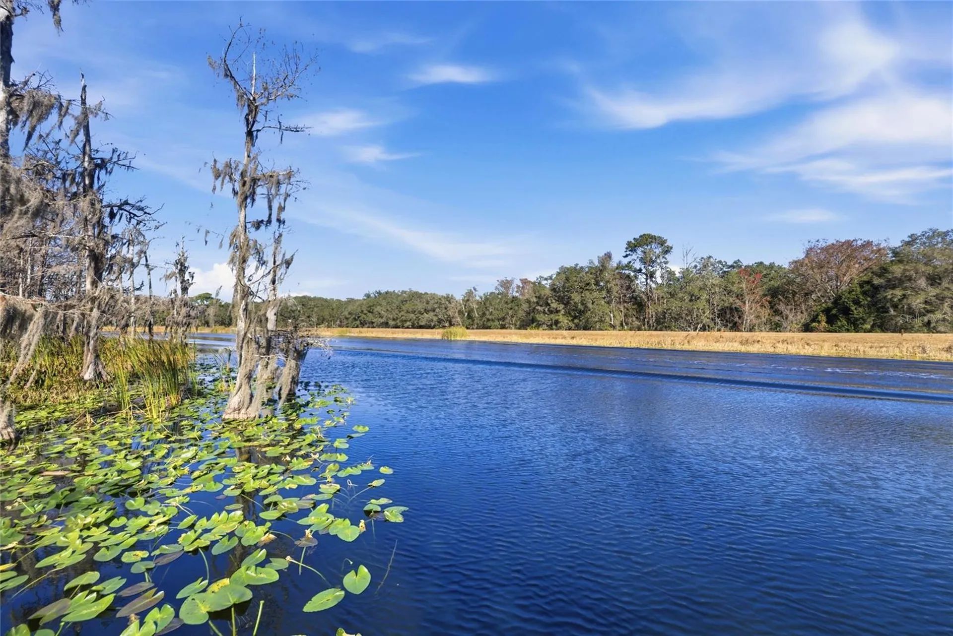 351 Sequoia Drive Ocklawaha FL 32179