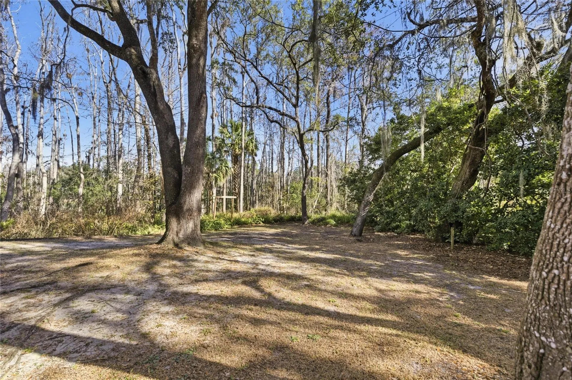 351 Sequoia Drive Ocklawaha FL 32179