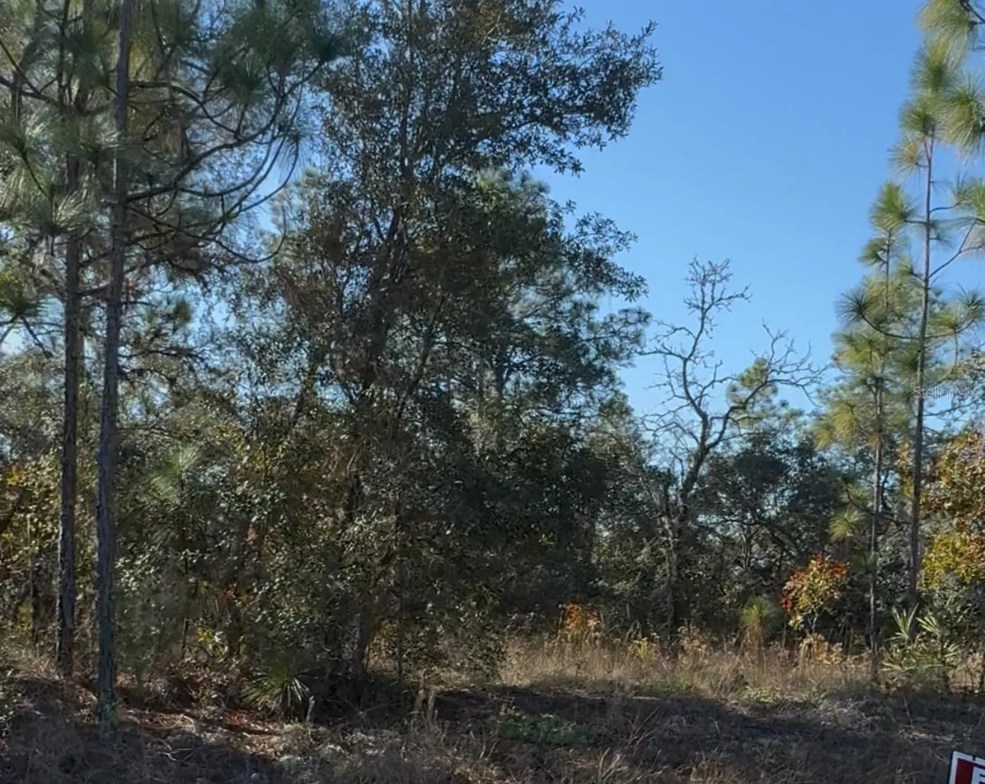 6783 N Pavilion Loop Citrus Springs FL 34433