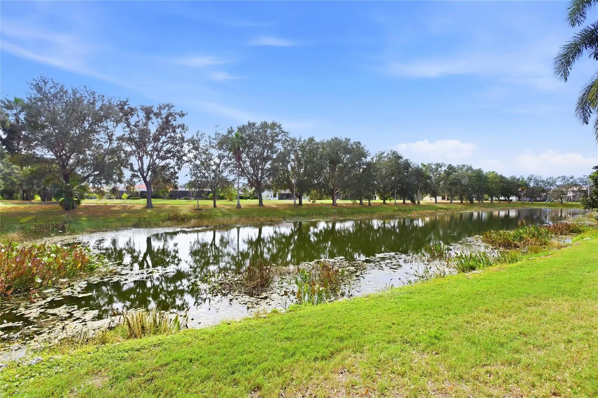 12806 7th Avenue NE Bradenton FL 34212