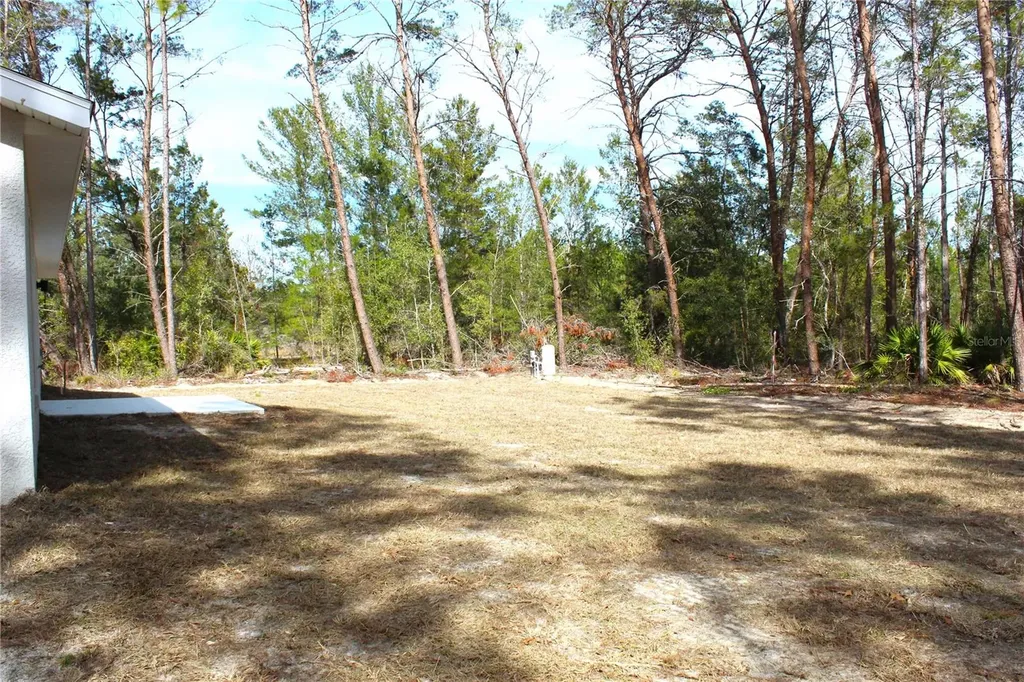 15 Fisher Way Place Ocklawaha FL 32179