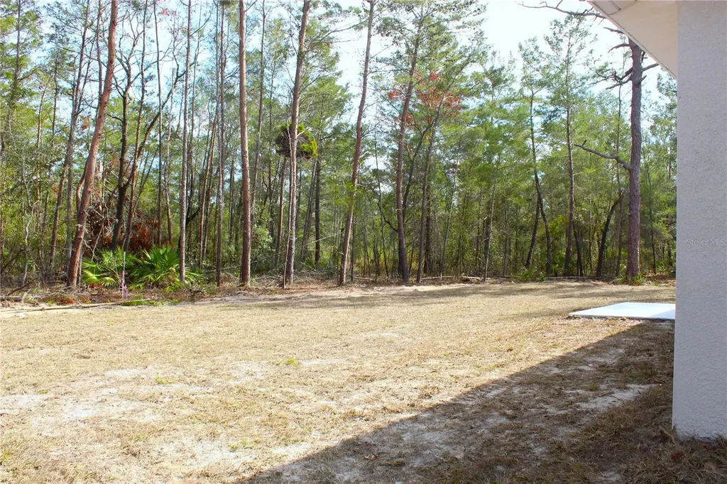 15 Fisher Way Place Ocklawaha FL 32179