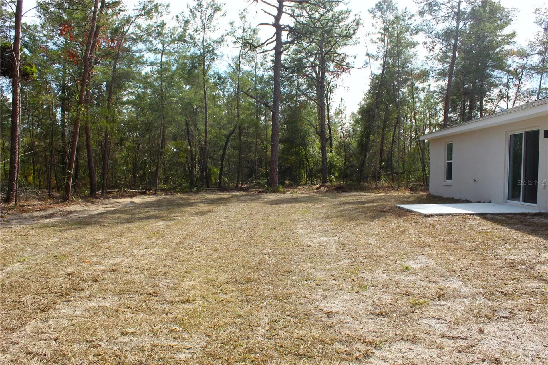 15 Fisher Way Place Ocklawaha FL 32179
