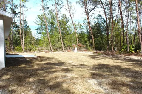 15 Fisher Way Place Ocklawaha FL 32179