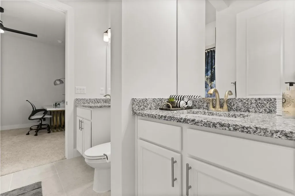 8297 Ivy Stark Boulevard Wesley Chapel FL 33545