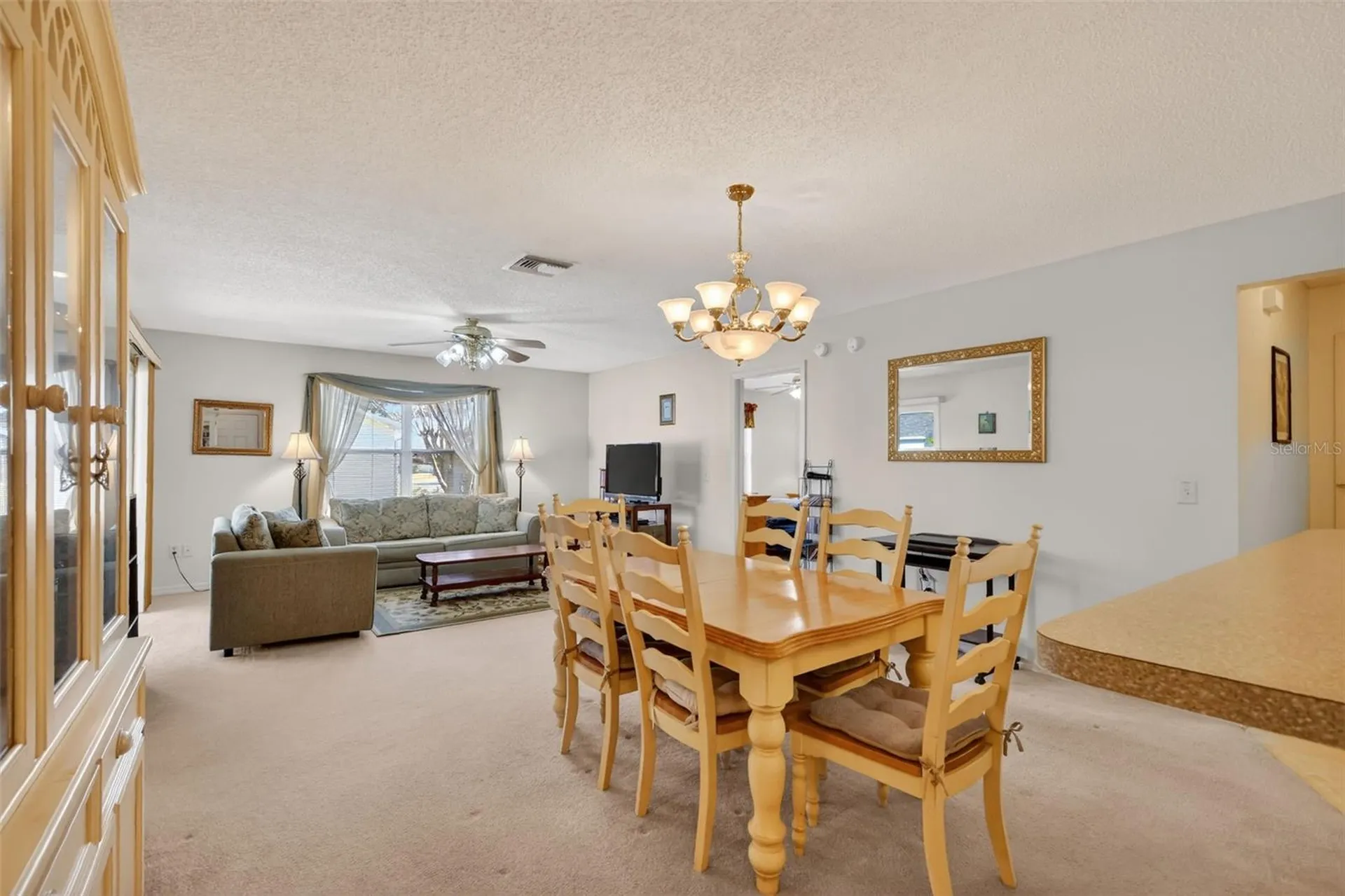 974 Livingston Loop The Villages FL 32162