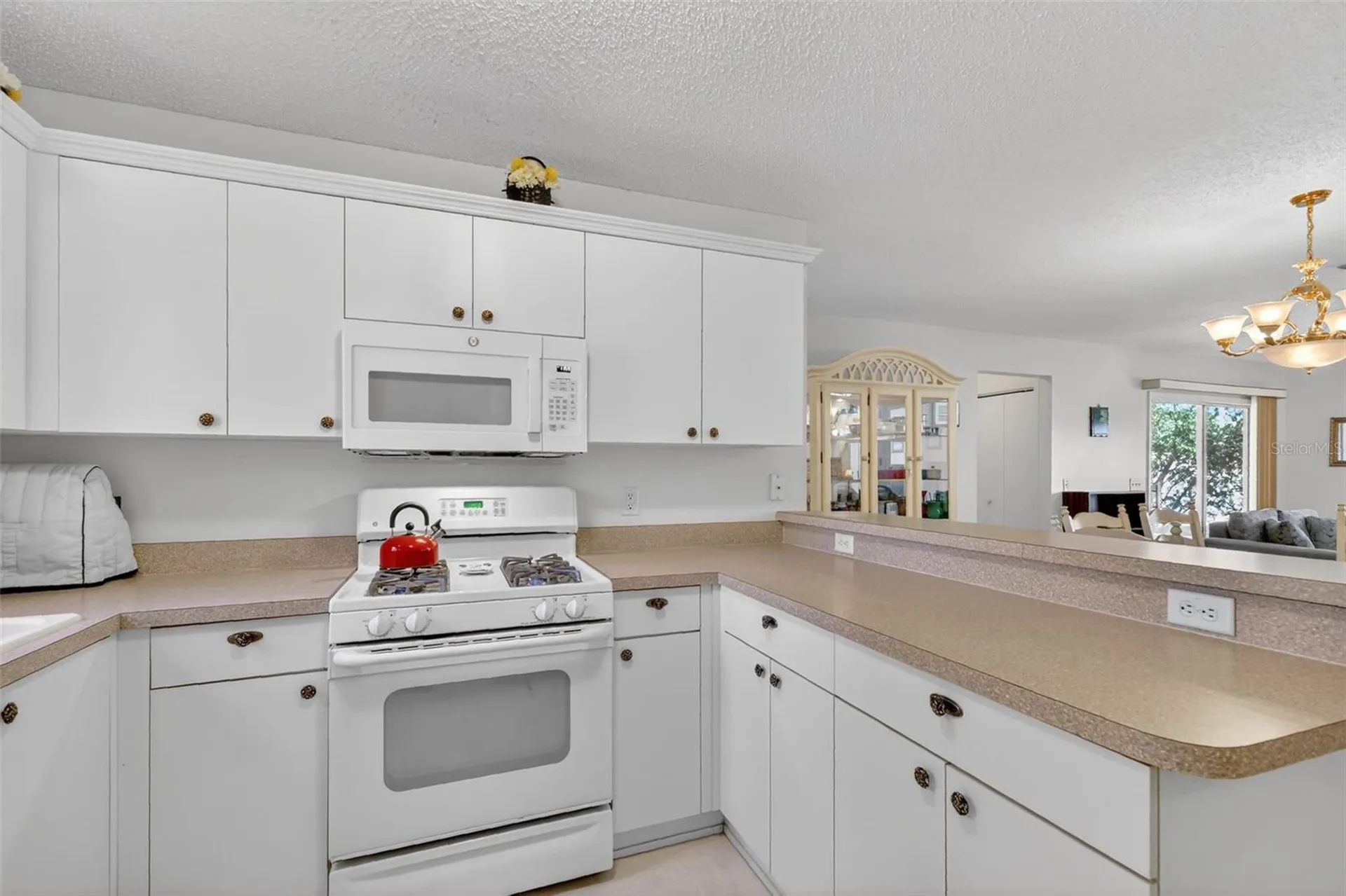 974 Livingston Loop The Villages FL 32162
