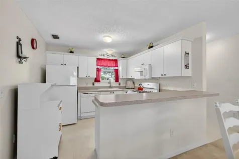 974 Livingston Loop The Villages FL 32162
