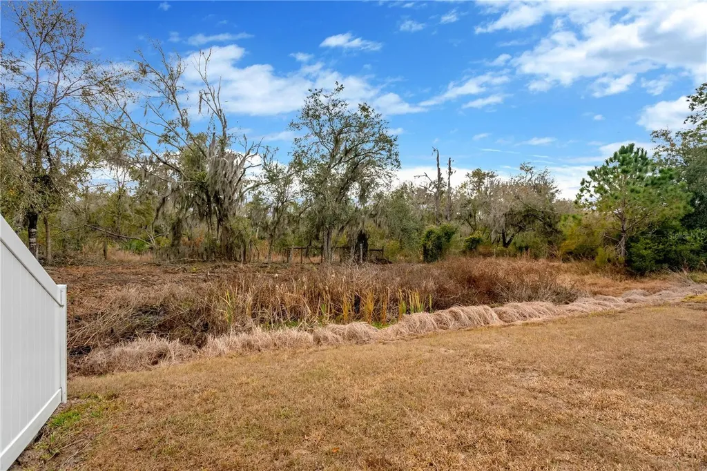 12407 Brick Cobblestone Drive Riverview FL 33579