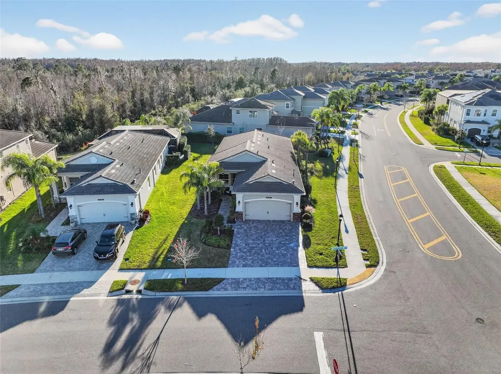 30724 Lindentree Drive Wesley Chapel FL 33543